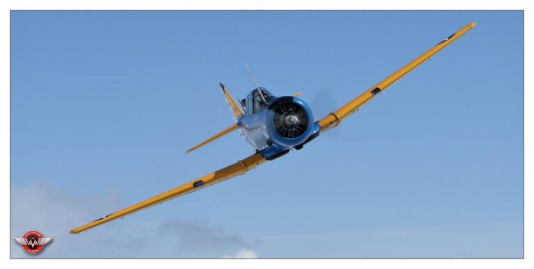 T-6 © AVA