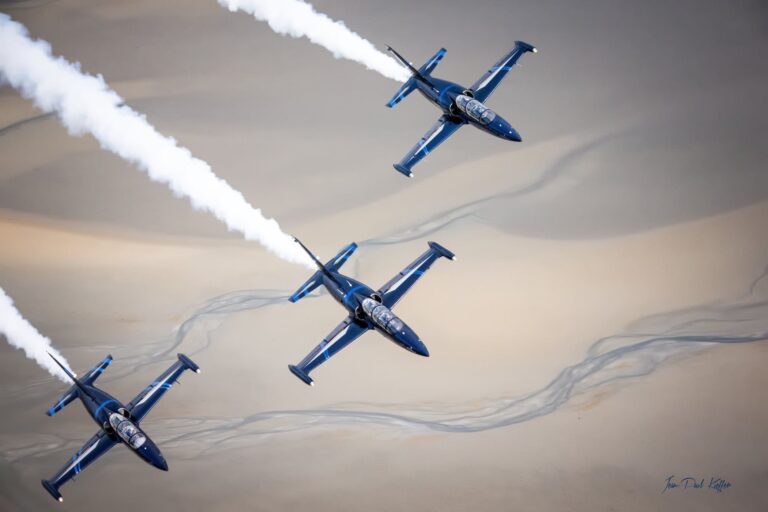 Fly & Fun