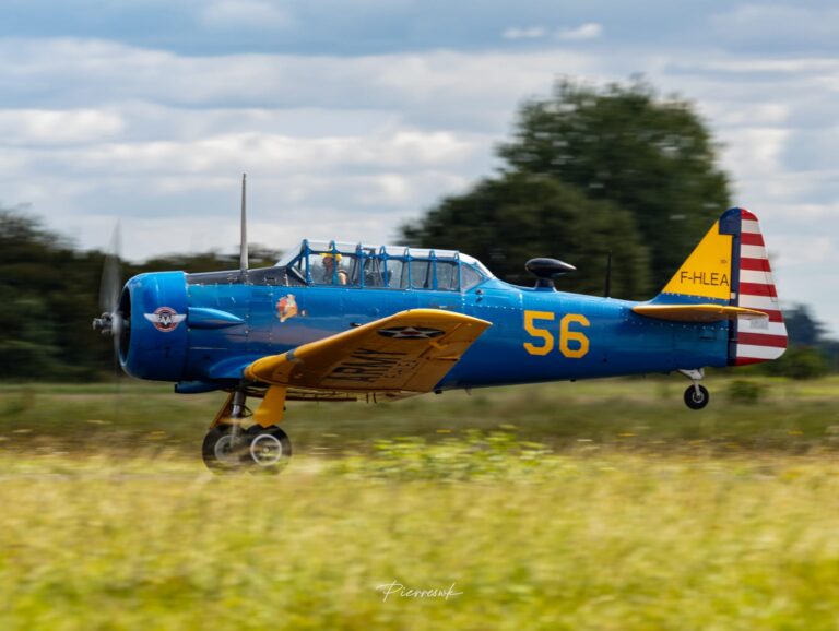 F-HLEA T-6 Aero Vintage Academy ©Pierre Szuwalski